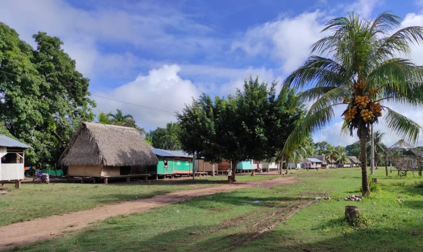 Foto adicional — Pueblo Originario Shipibo-Conibo da a conocer nuestra…