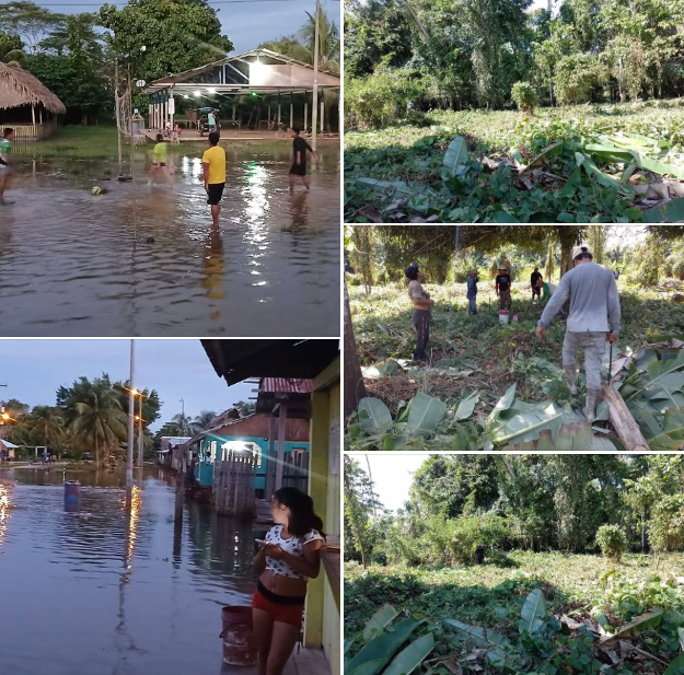Nuestros agricultores vuelven a sembrar después de las lluvias fuertes para nuestra comunidad