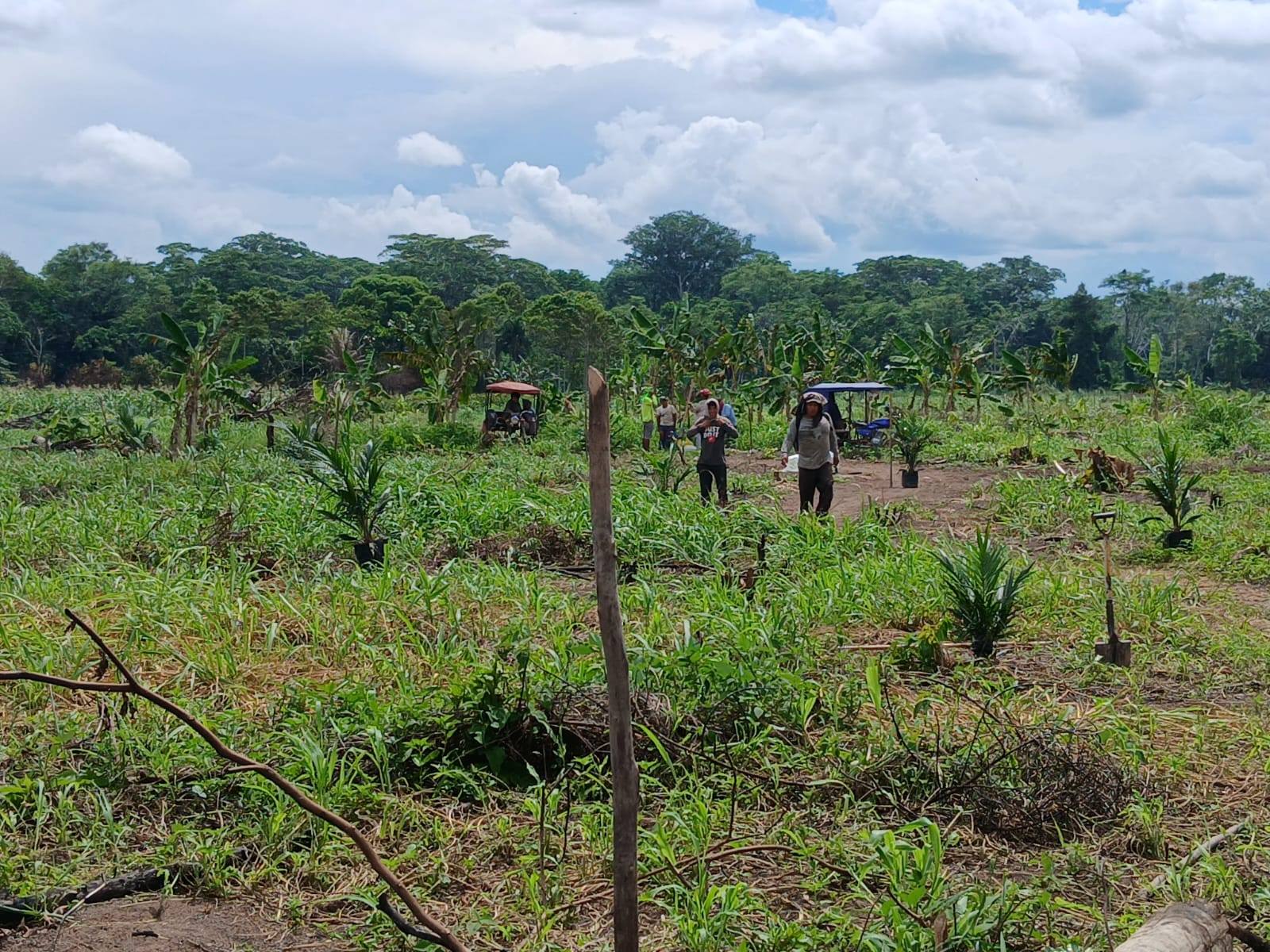 Foto adicional — Nuestra comunidad ya formó su ASOCIACION AGRO FORESTAL CN…