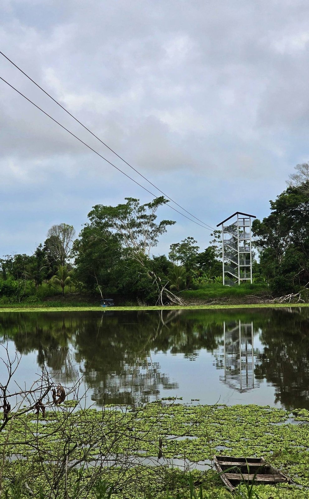 Apertura del canopy turístico en la Laguna Uchunya